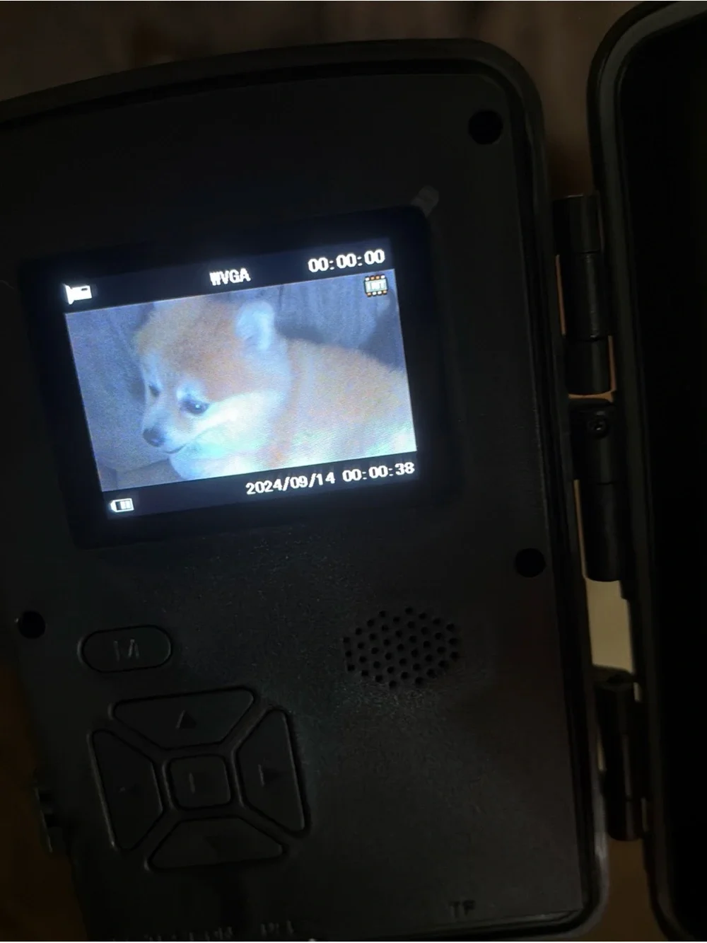 Trail Camera with memory card 32 GB 2.5K QHD 2720x1520